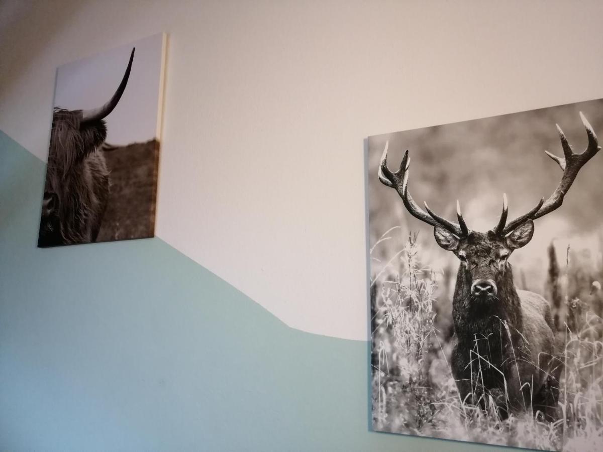 Pension Arkadenhof Loipersdorf bei Fuerstenfeld Bagian luar foto